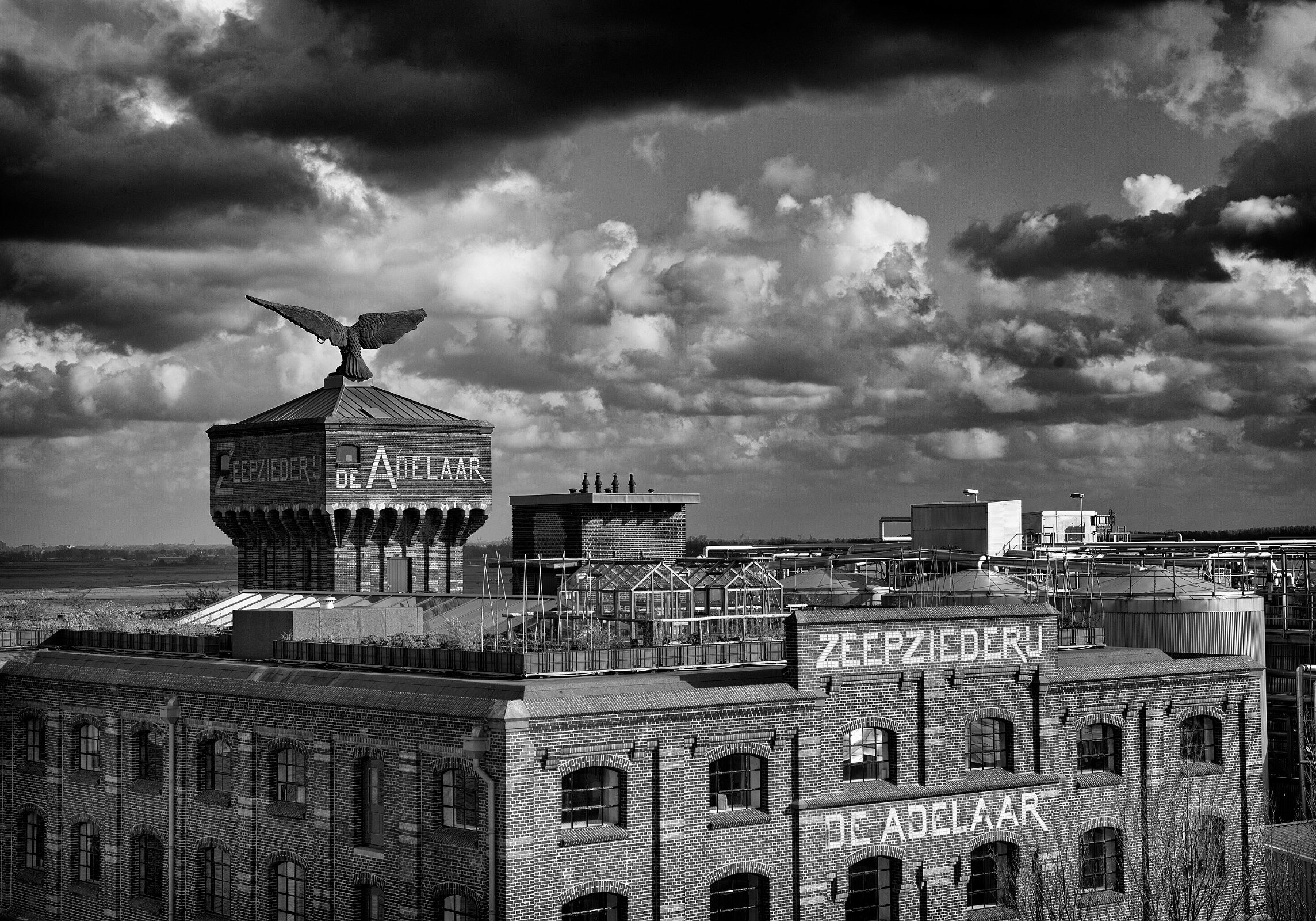 IMG_7598-zw-landscape